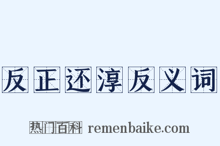 反正还淳反义词是什么意思的图片